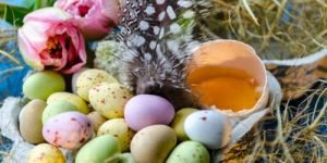 Scopri di più sull'articolo Perchè le uova fanno bene