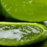 Aloe Vera – Succo. Cura per stomaco e intestino