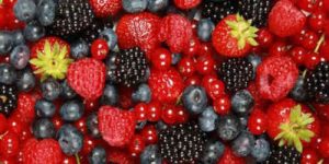 Scopri di più sull'articolo Il frullato di Giugno: frutti di bosco ed echinacea. Il nutraceutico per il sistema immunitario