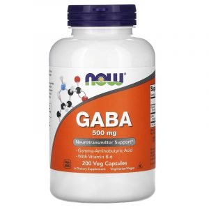 Now Foods, GABA con vitamina B6, 500 mg
