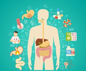 digestive