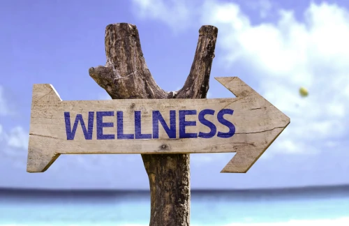 wellness wellness